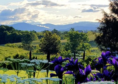Views from the grounds of Piney Hill Bed & Breakfast and Cottages in Luray, VA