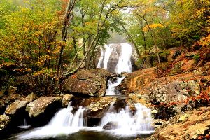 Overall Run Falls in the Shenandoah National Park