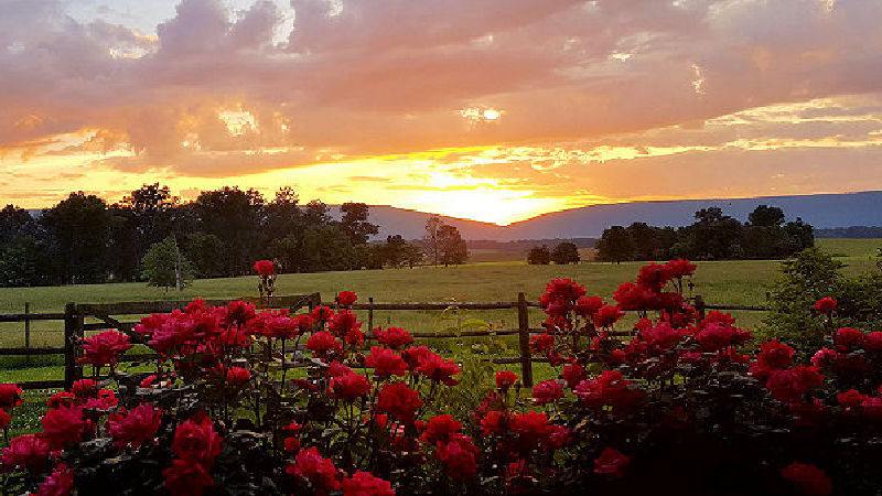 Hurley Byrd Cottage at Piney Hill Bed and Breakfast and Cottages Luray VA